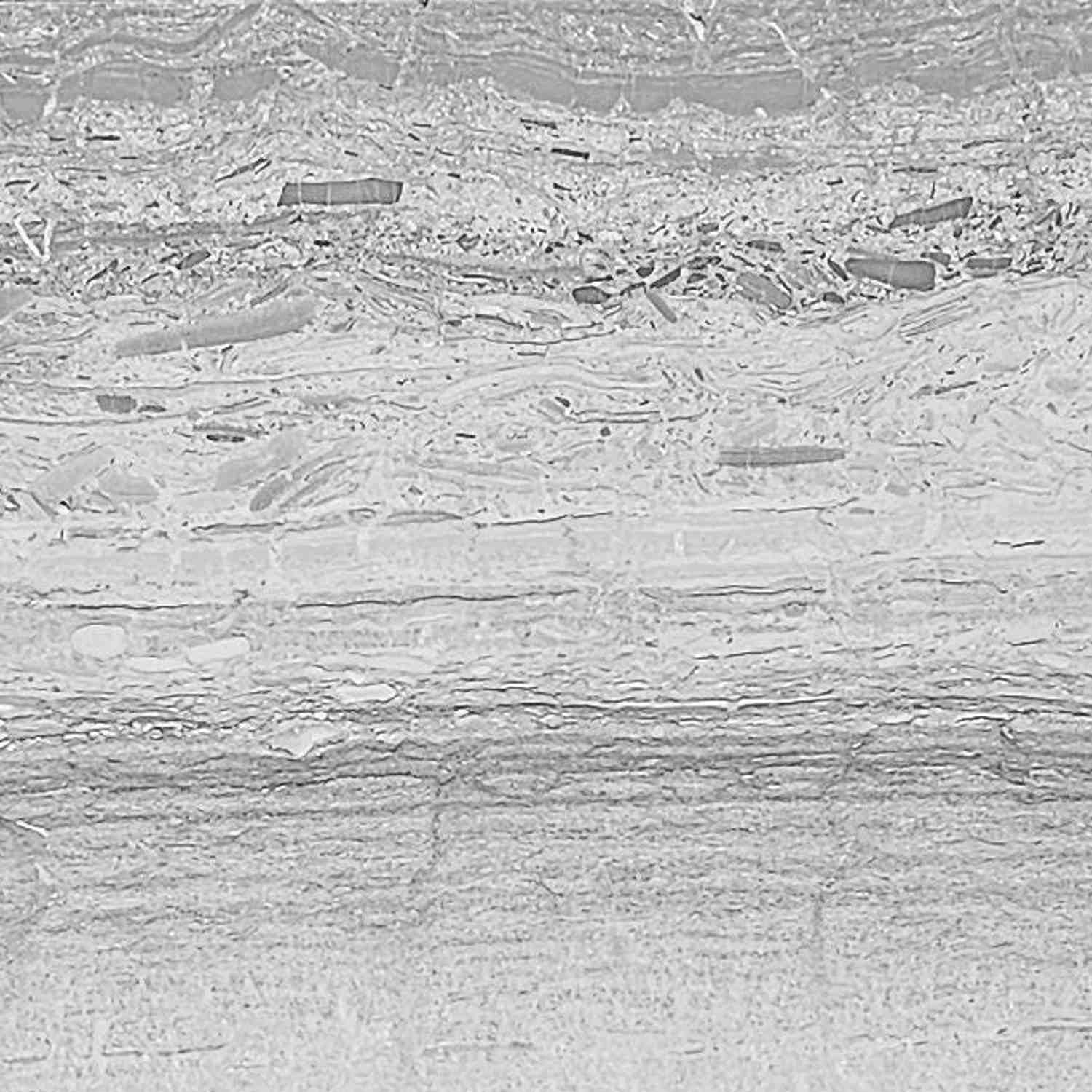 SILVER STONE